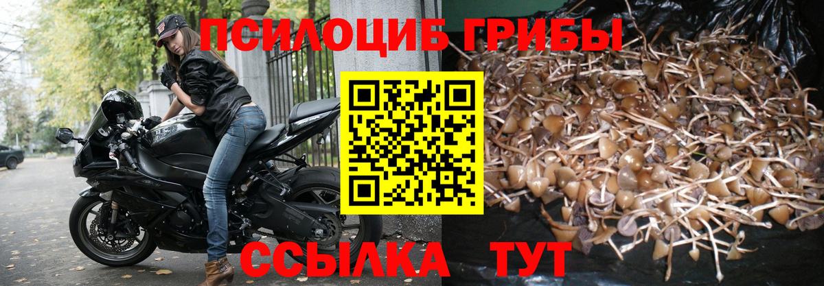 Ухта  Галлюциногенные грибы Magic Shrooms  Вход с VPN 